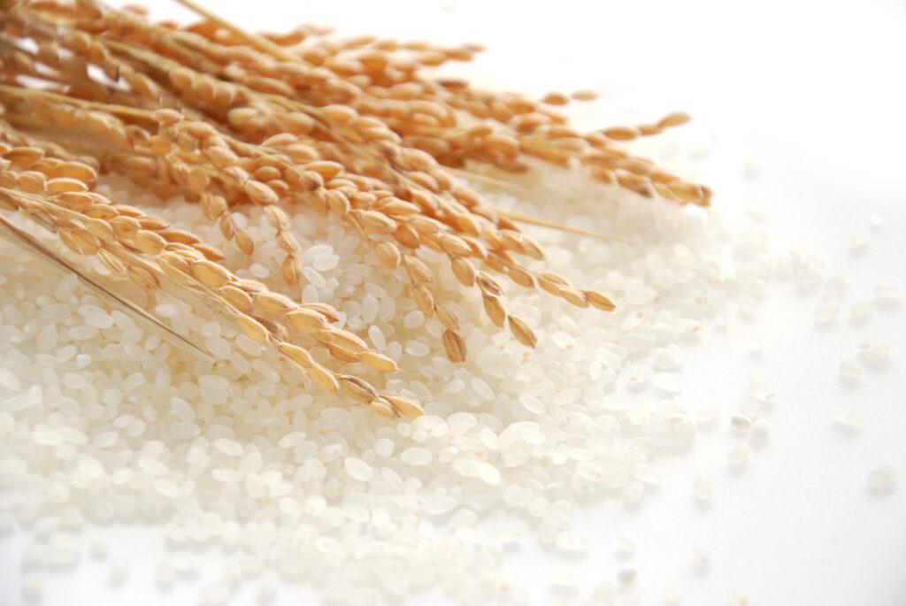 米　玄米　白米